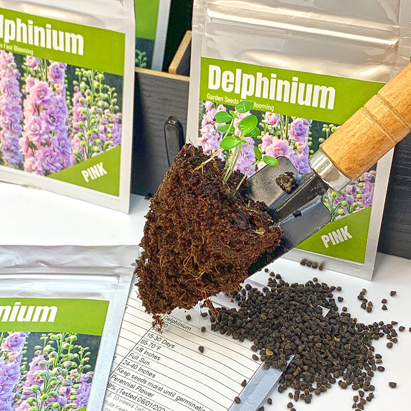 Delphinium Seeds(300/Pack),Perennial Flower,Soft Pink,Attracts Bees, Attracts Butterflies