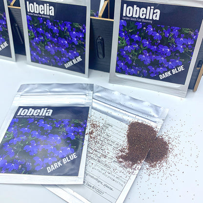 Lobelia Seeds (5000/Pack),Perennial Flower,Dark Blue, Seeds for Planting Outdoors, Non-GMO Heirloom