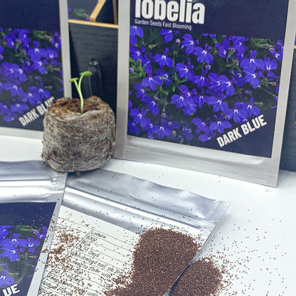 Lobelia Seeds (5000/Pack),Perennial Flower,Dark Blue, Seeds for Planting Outdoors, Non-GMO Heirloom