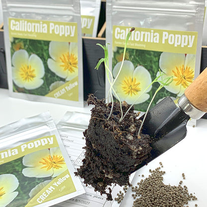 California Poppy Seeds(5000/Pack),Perennial Flower,Cream Yellow,White Linen,Flower Seed Planting For Garden