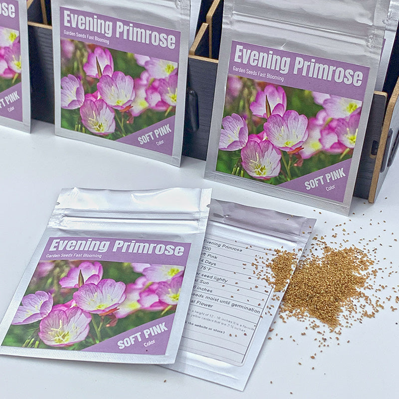 Evening Primrose Seeds (6000/Pack),Perennial,Soft Pink,Flower Seeds Planting For Garden