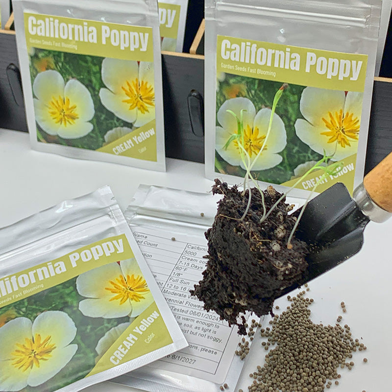 California Poppy Seeds(5000/Pack),Perennial Flower,Cream Yellow,White Linen,Flower Seed Planting For Garden