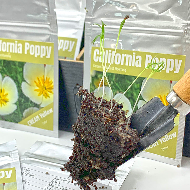 California Poppy Seeds(5000/Pack),Perennial Flower,Cream Yellow,White Linen,Flower Seed Planting For Garden