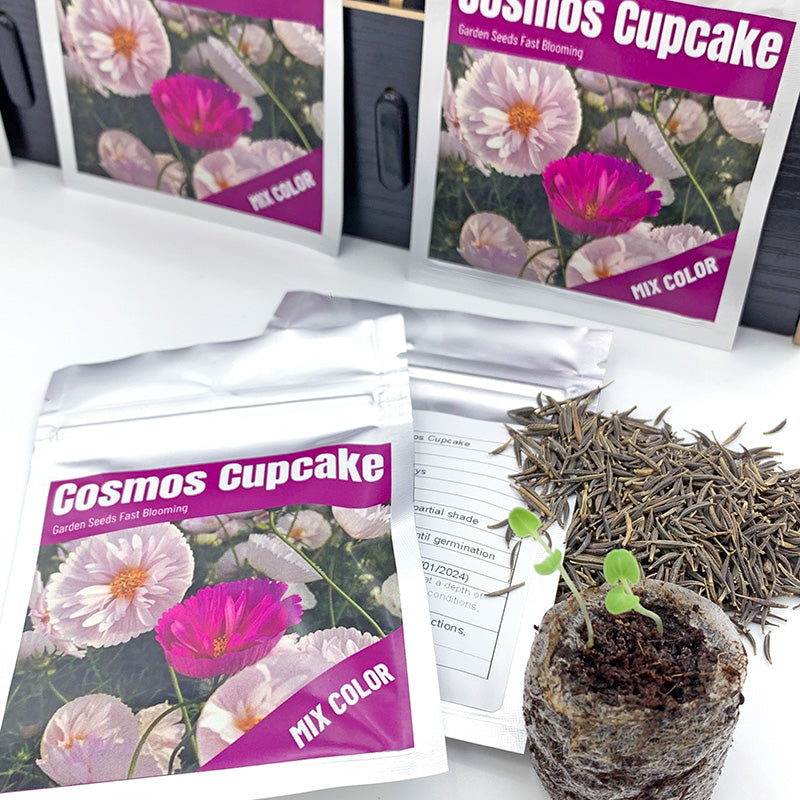 Cosmos Cupcake Blush  Seeds(500/Pack) ,Annual Flower,Mix Color,Fast germination, easy to grow